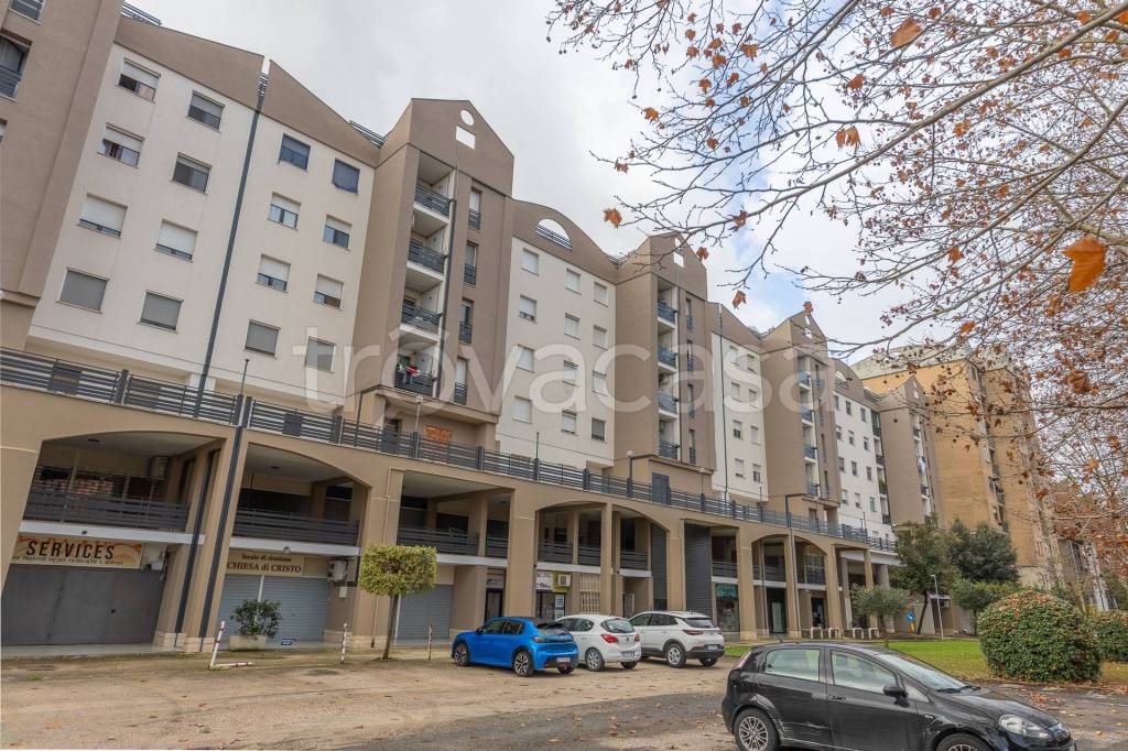 immagine annuncio 3 di 12