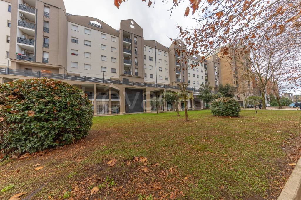 immagine annuncio 4 di 12