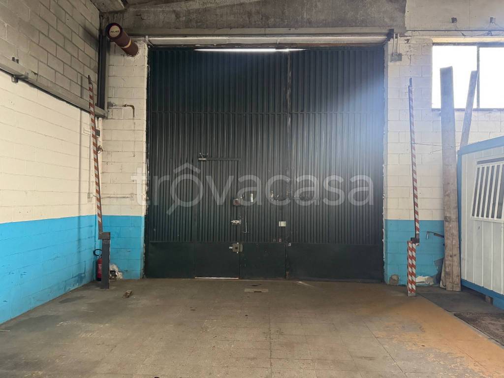 immagine annuncio 9 di 11