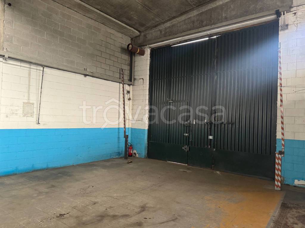 immagine annuncio 10 di 11