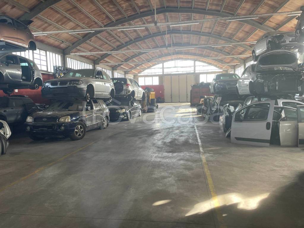 immagine annuncio 5 di 15