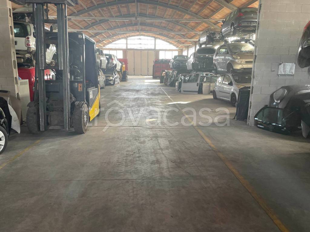 immagine annuncio 7 di 15