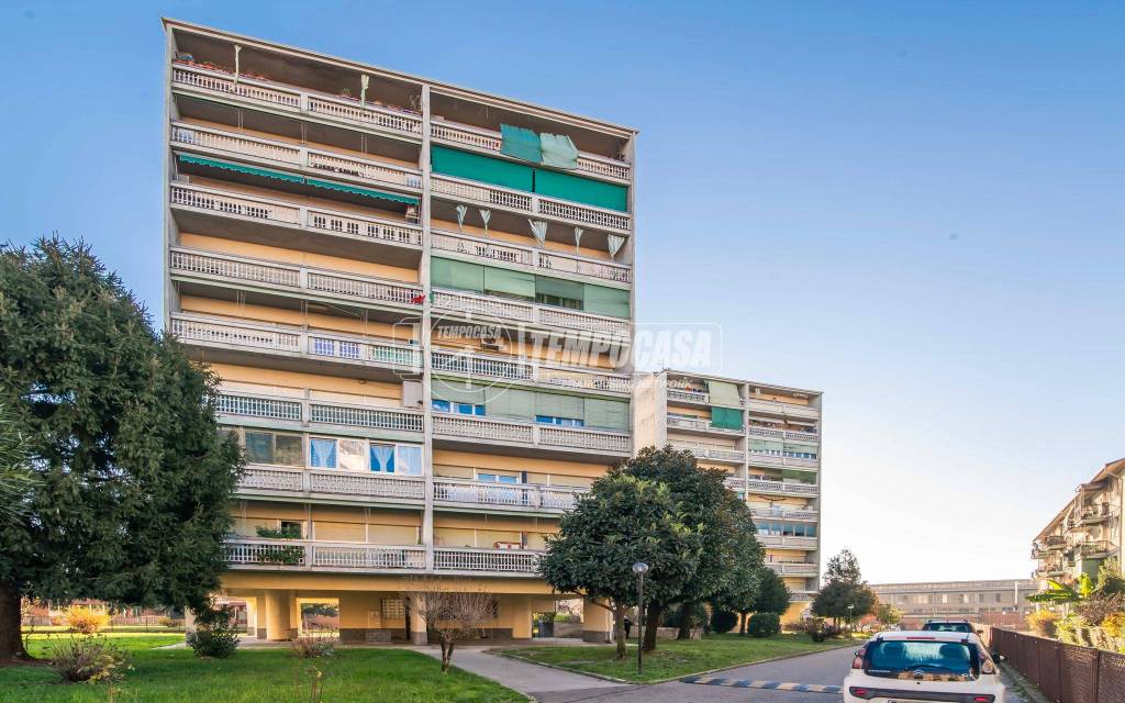 immagine annuncio 12 di 15