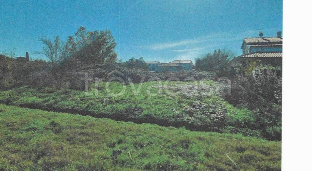 immagine annuncio 6 di 13