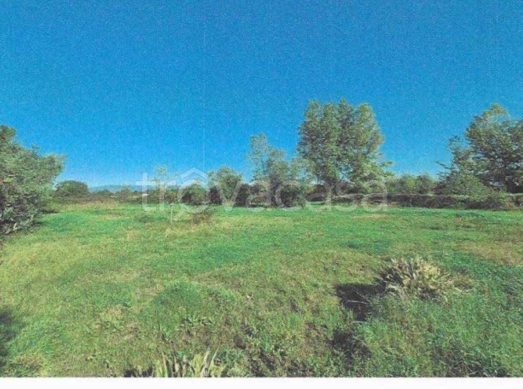 immagine annuncio 7 di 13