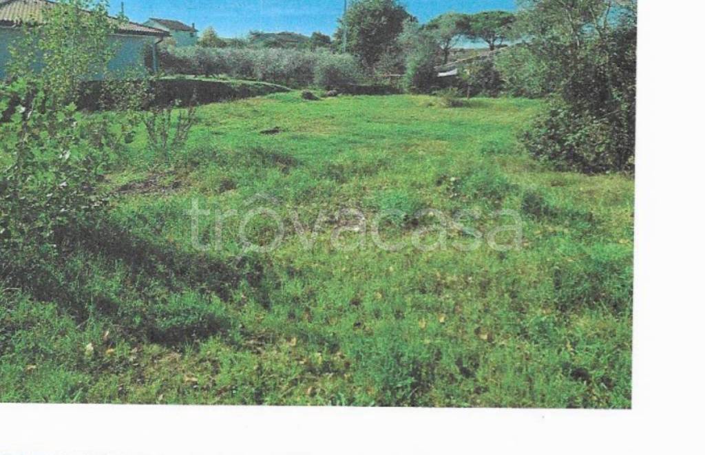 immagine annuncio 10 di 13