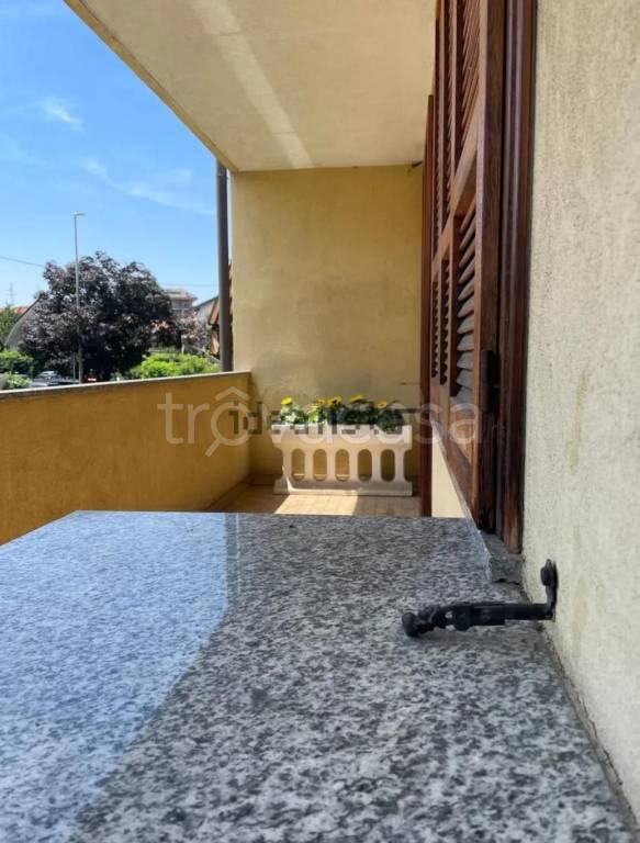 immagine annuncio 1 di 2