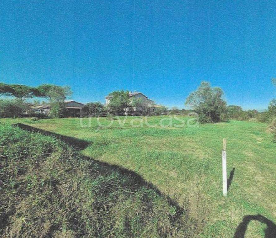 immagine annuncio 7 di 11