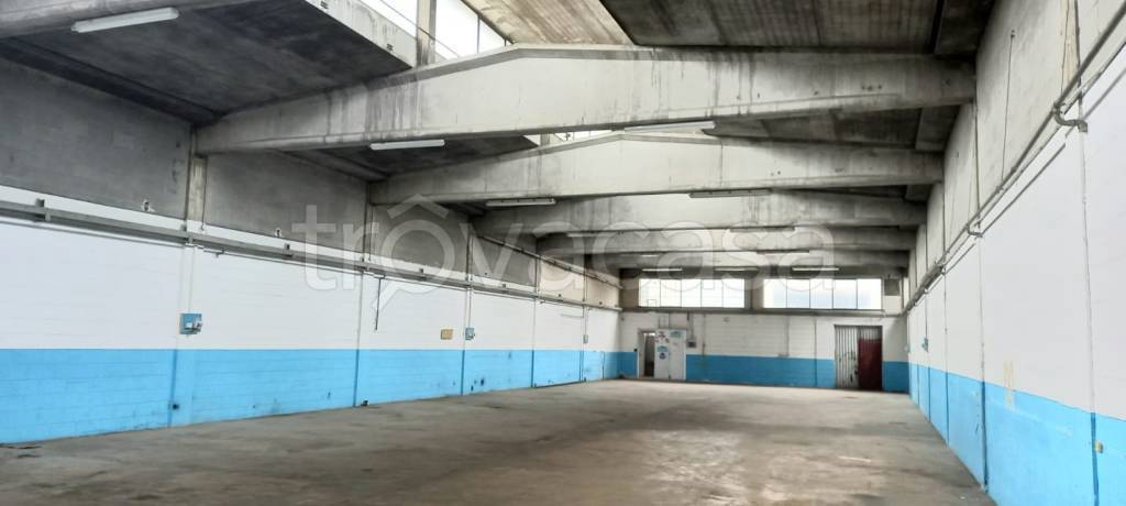 immagine annuncio 6 di 11