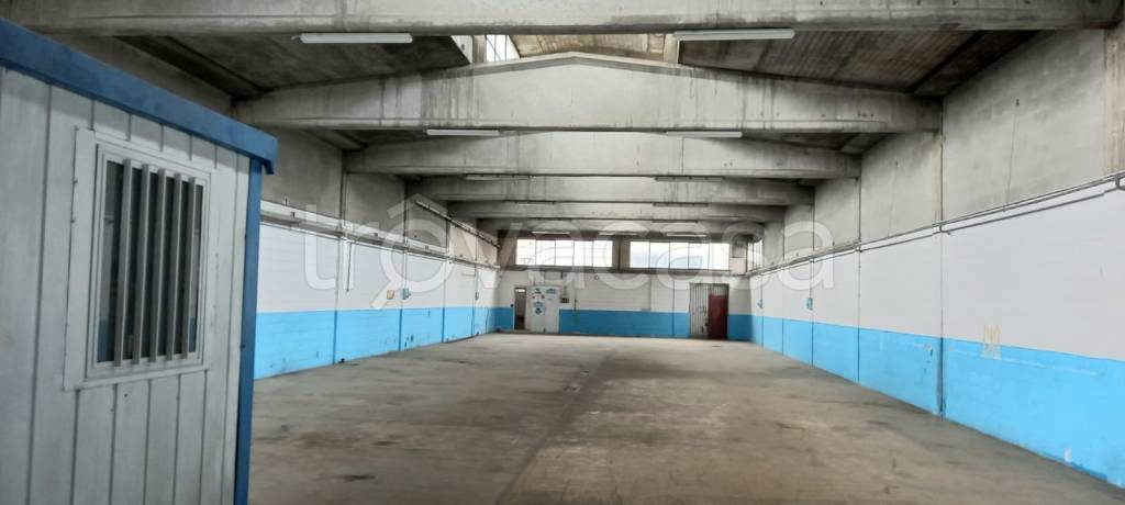 immagine annuncio 9 di 11