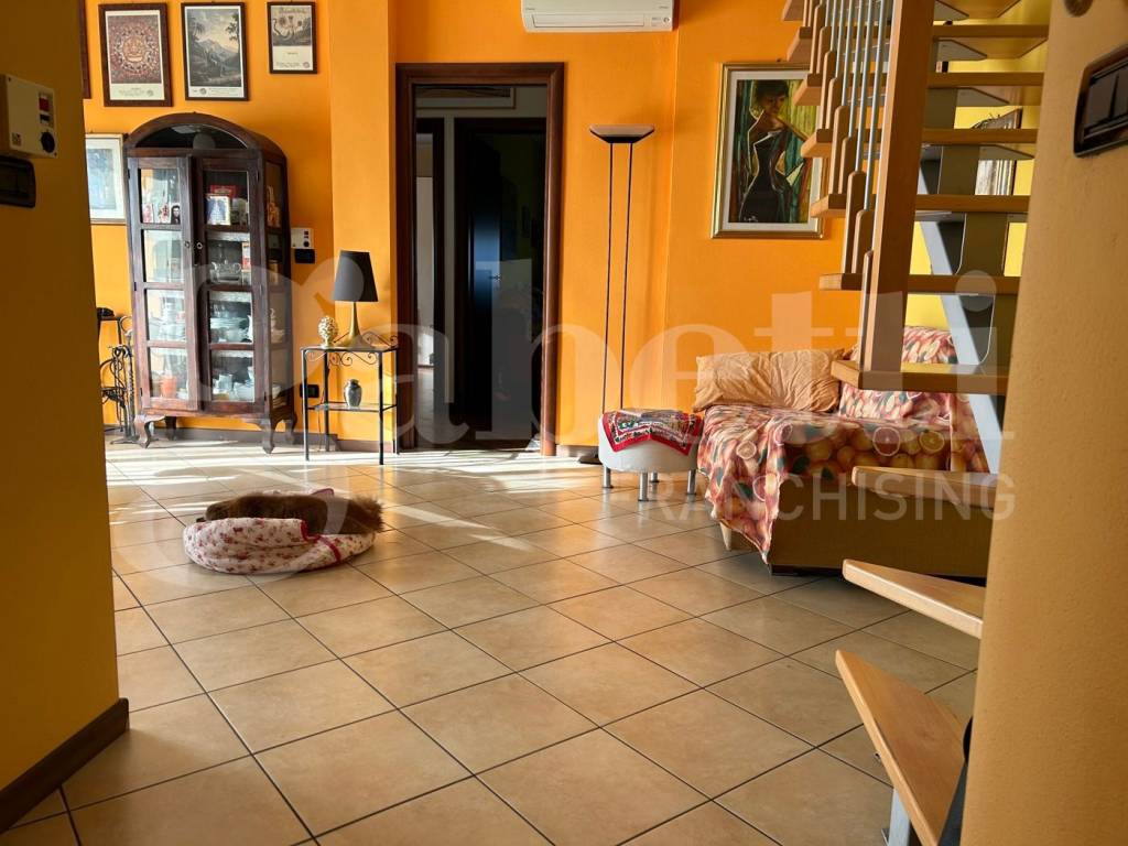 immagine annuncio 6 di 15