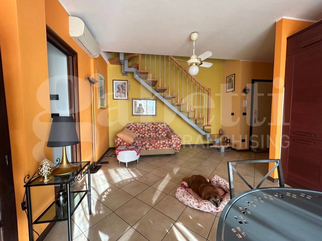 immagine annuncio 4 di 15