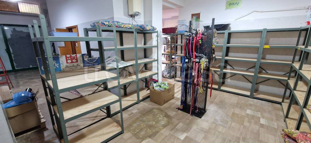 immagine annuncio 6 di 13