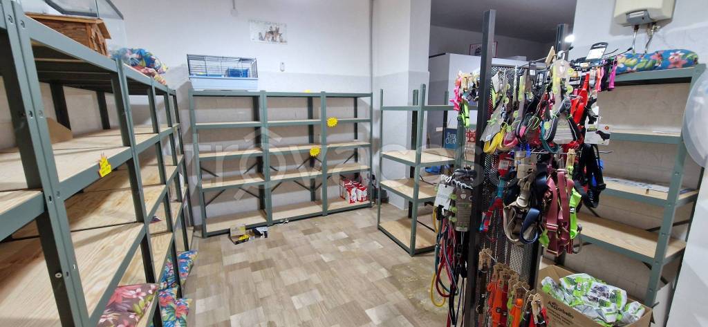 immagine annuncio 7 di 13