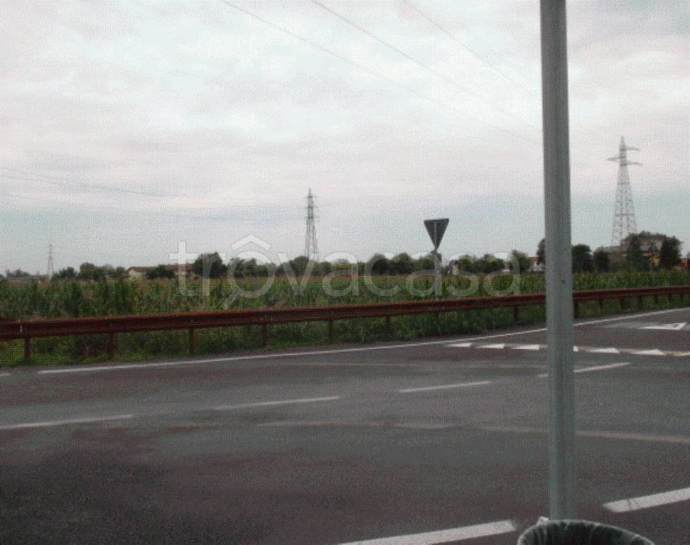 immagine annuncio 6 di 13