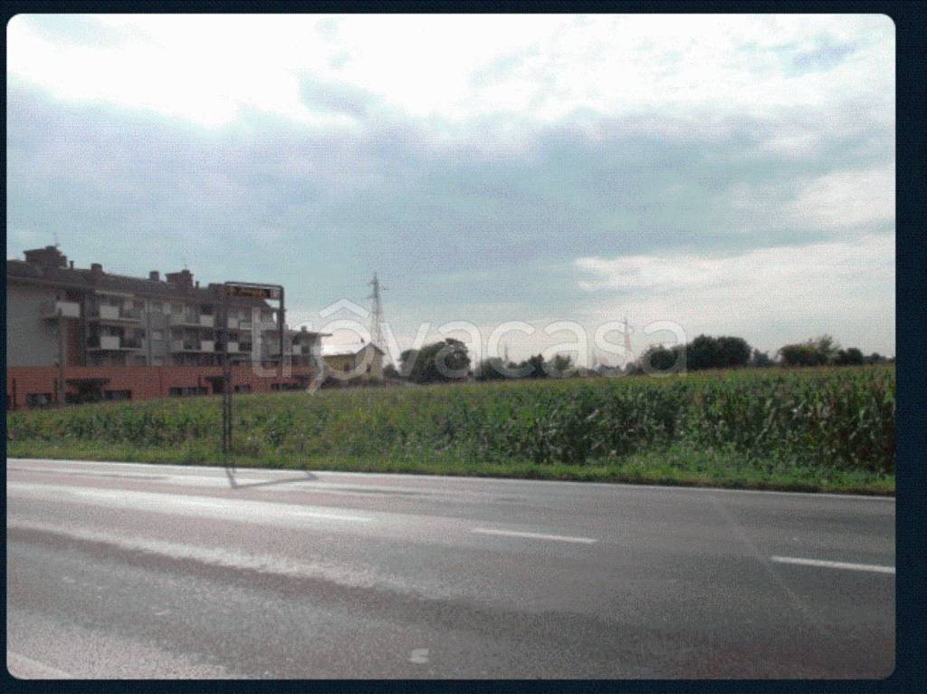 immagine annuncio 9 di 13