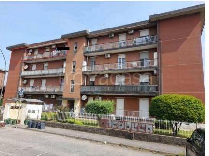 immagine annuncio 6 di 12