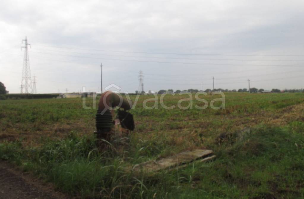 immagine annuncio 2 di 11