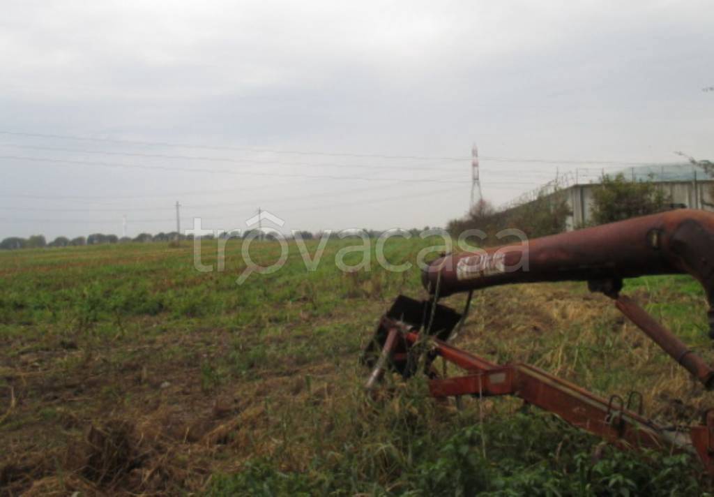 immagine annuncio 3 di 11