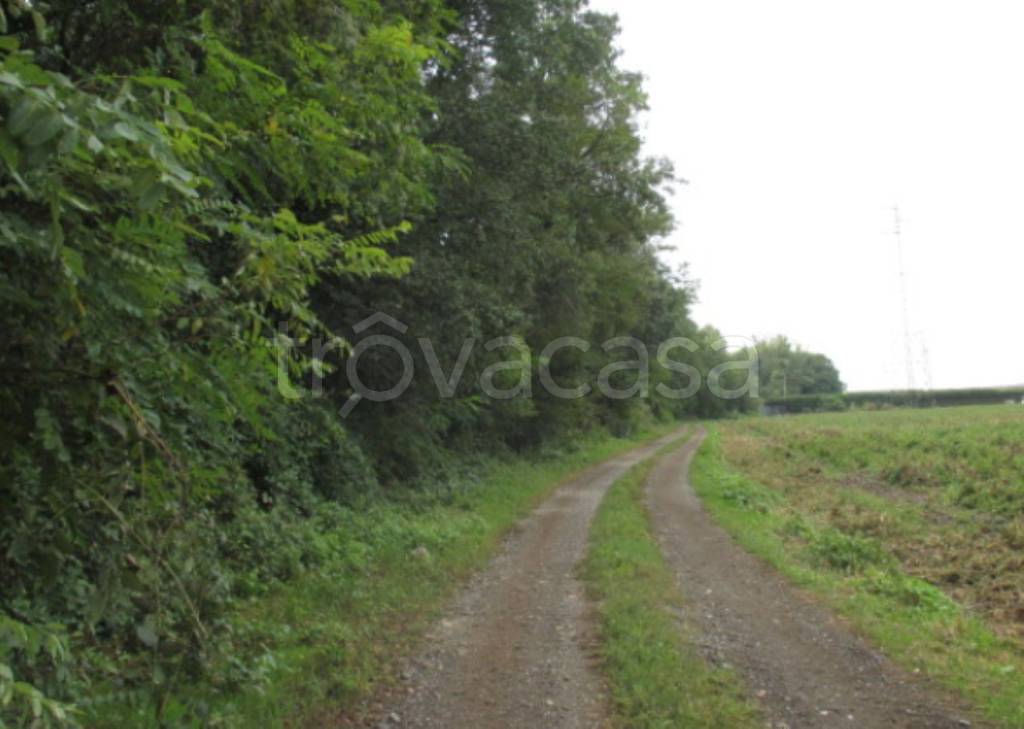 immagine annuncio 6 di 11