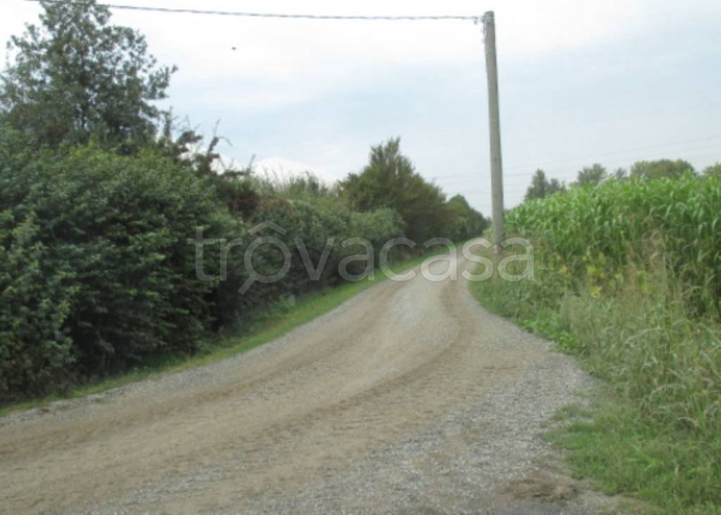 immagine annuncio 8 di 11