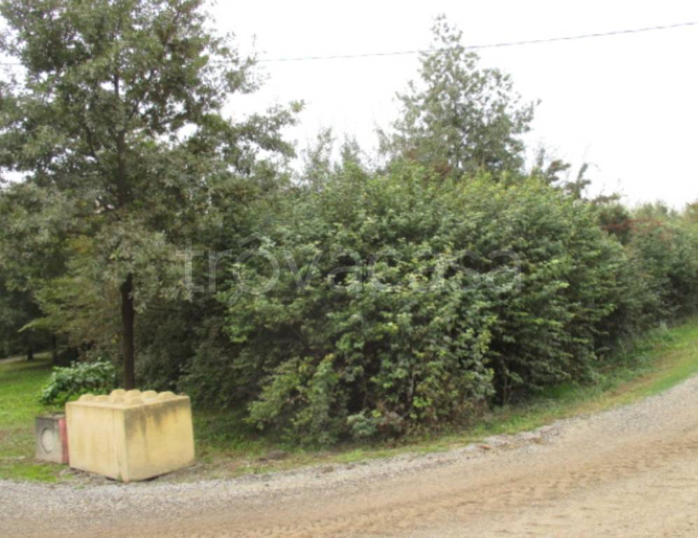 immagine annuncio 10 di 11