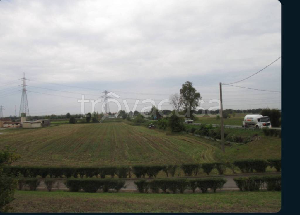 immagine annuncio 4 di 14