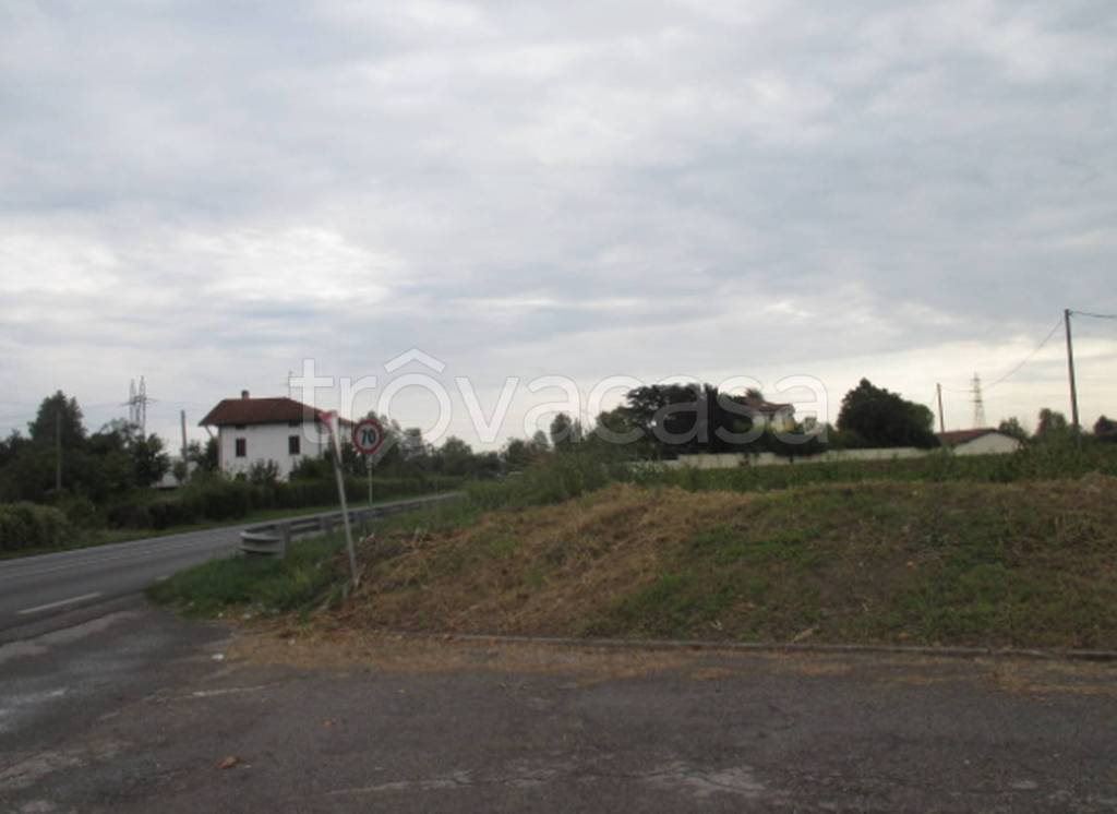 immagine annuncio 5 di 14