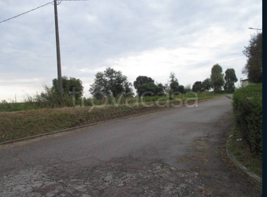 immagine annuncio 6 di 14