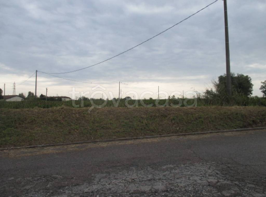 immagine annuncio 8 di 14