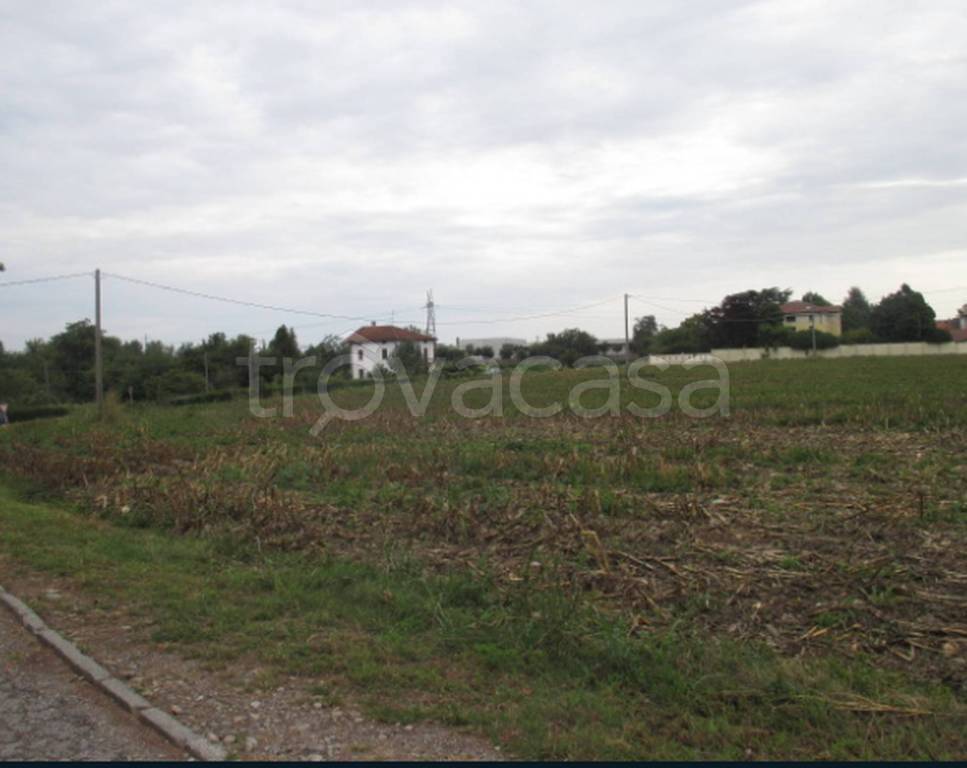 immagine annuncio 11 di 14