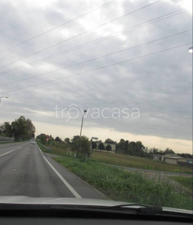 immagine annuncio 12 di 14