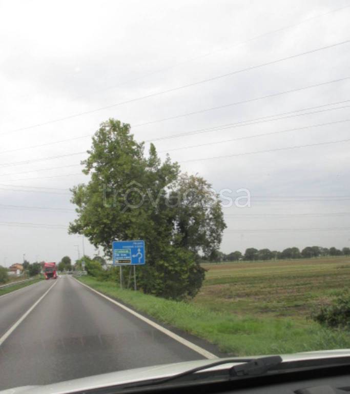 immagine annuncio 13 di 14