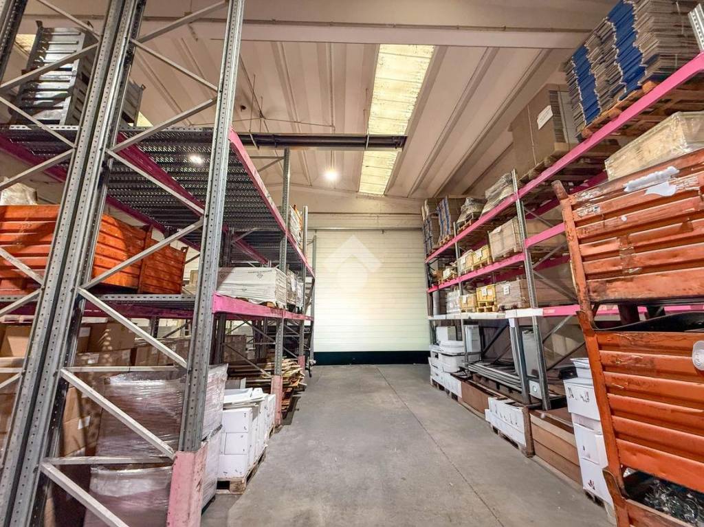 immagine annuncio 2 di 11