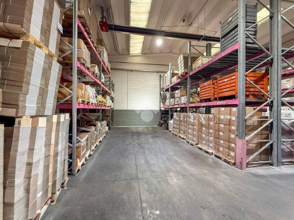 immagine annuncio 8 di 11