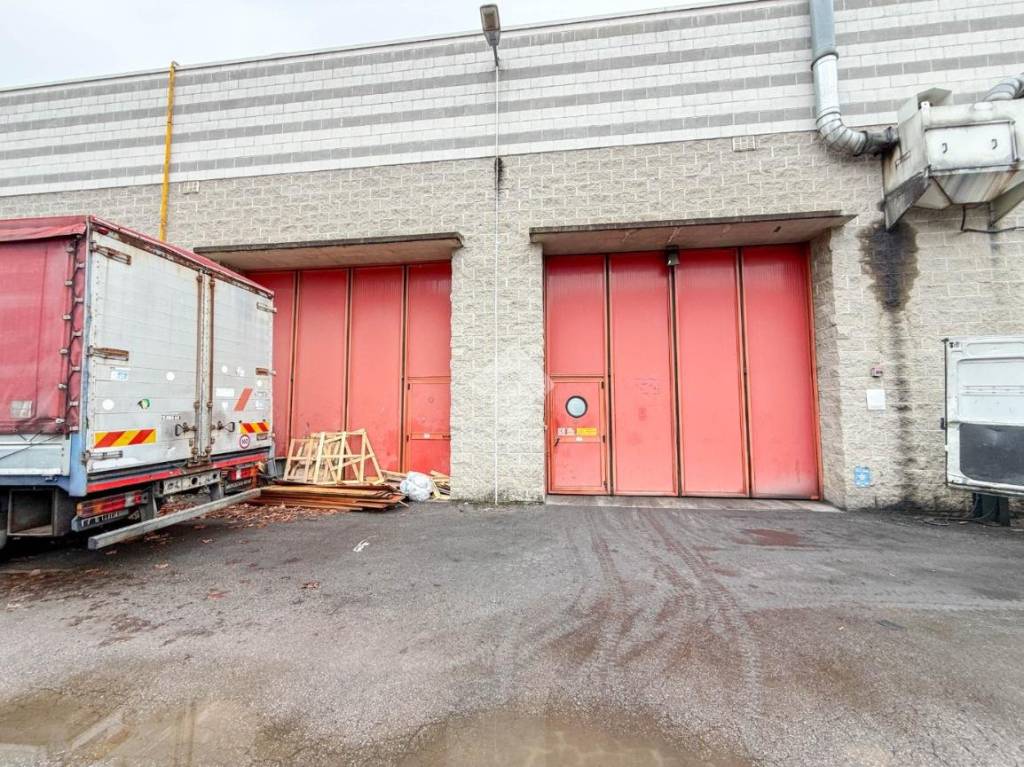 immagine annuncio 9 di 11