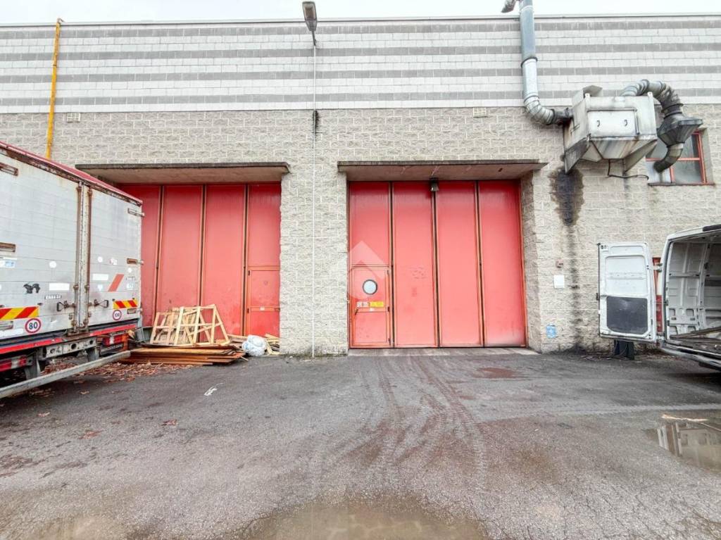 immagine annuncio 10 di 11