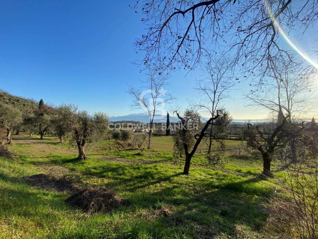 immagine annuncio 2 di 11