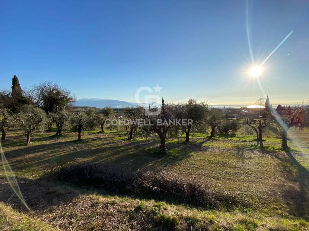 immagine annuncio 5 di 11