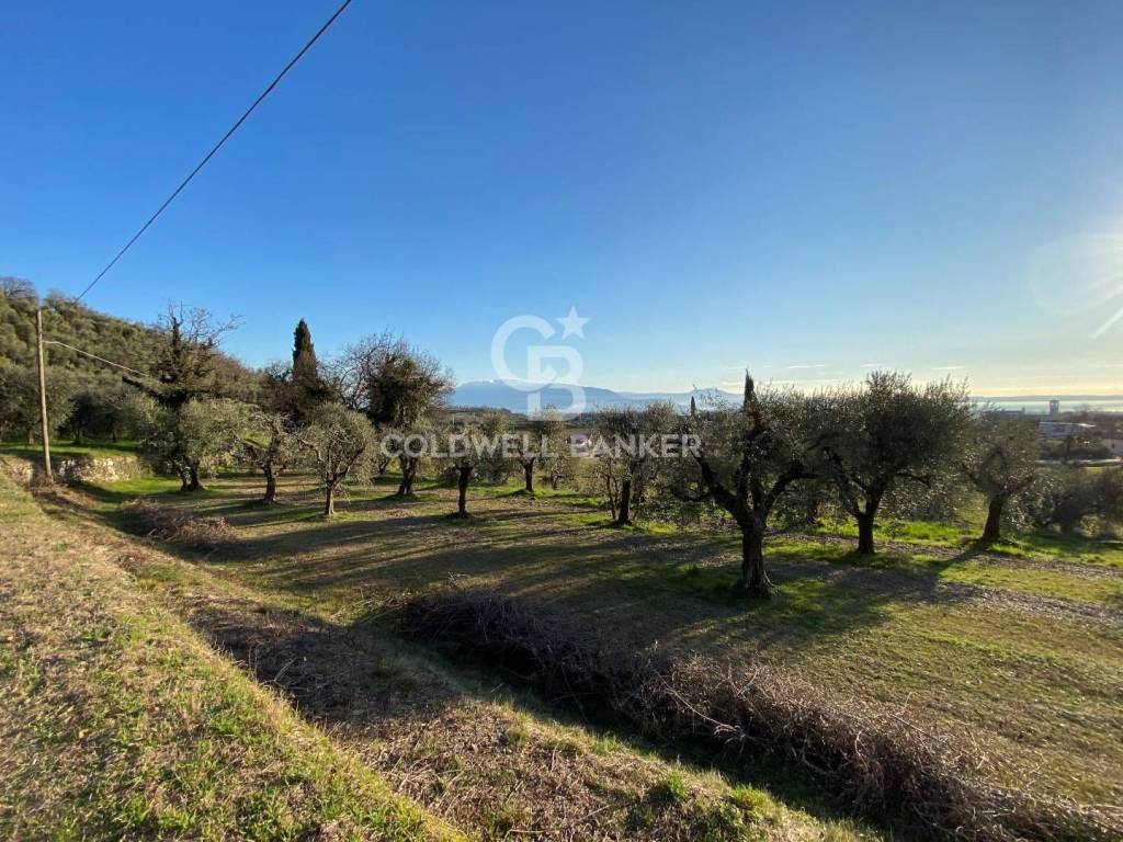 immagine annuncio 6 di 11