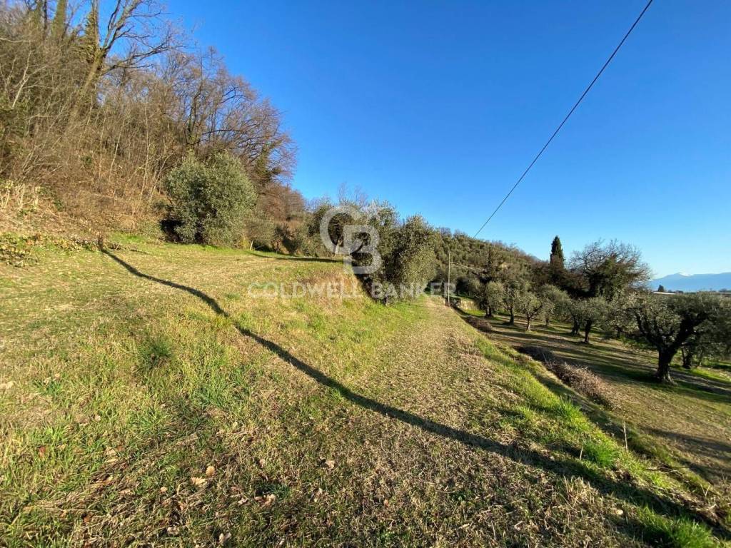 immagine annuncio 7 di 11