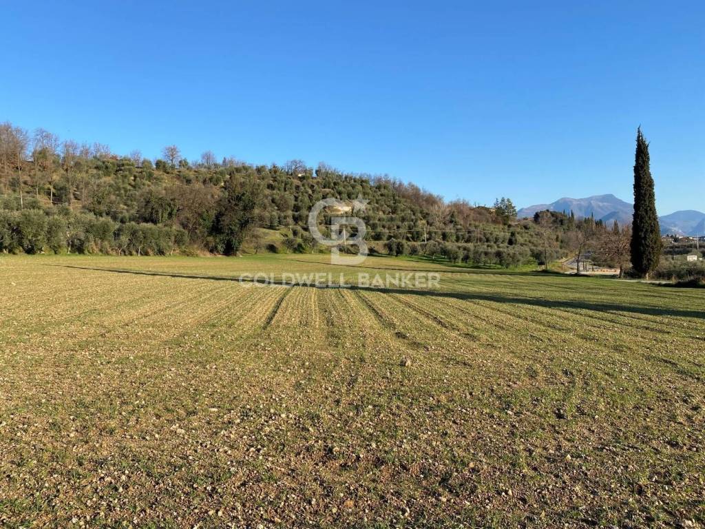 immagine annuncio 8 di 11