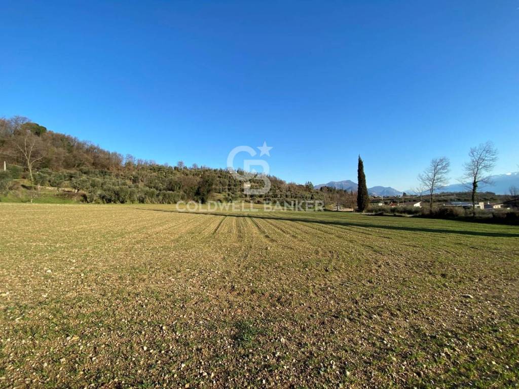 immagine annuncio 9 di 11