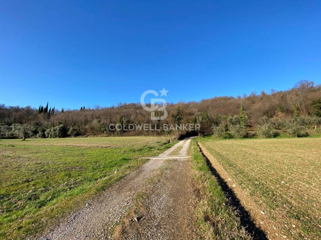 immagine annuncio 10 di 11