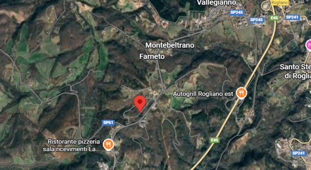 immagine annuncio 3 di 12