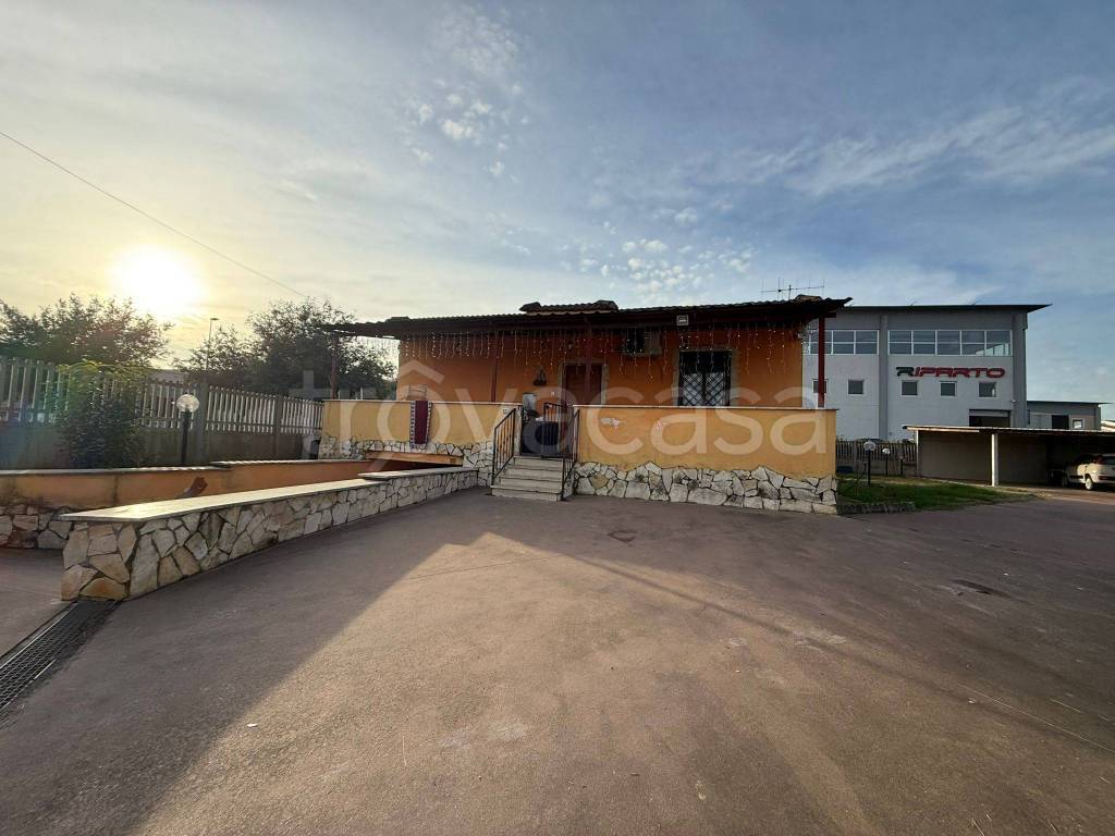 immagine annuncio 11 di 14