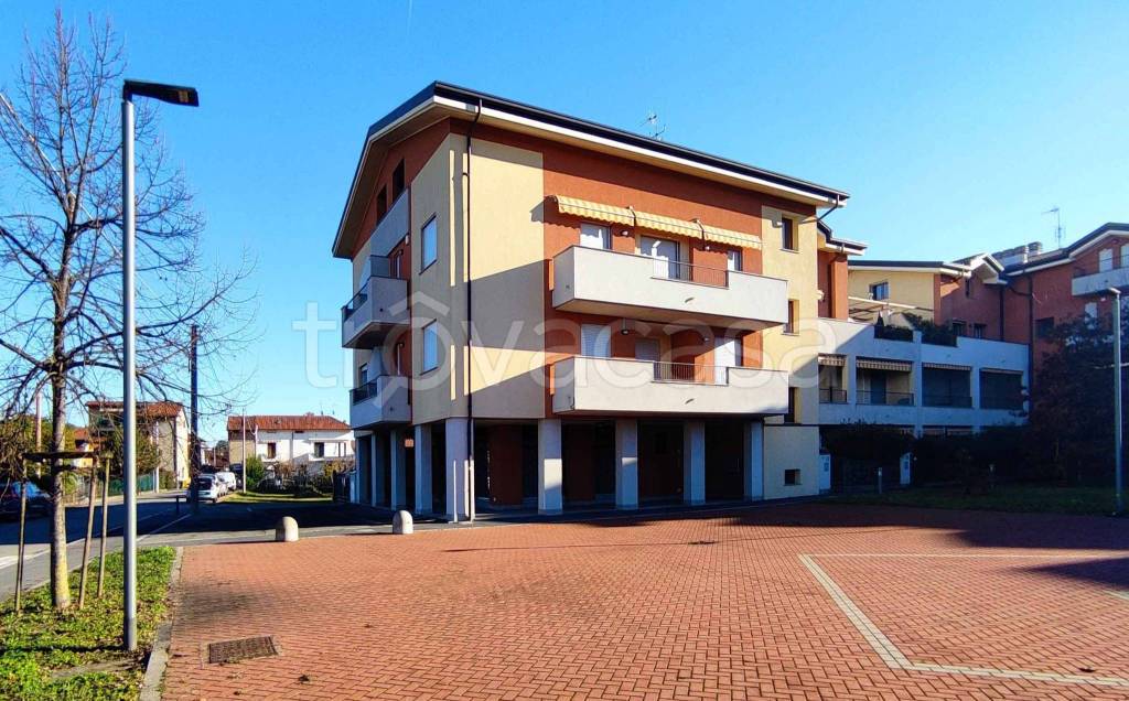 immagine annuncio 2 di 15