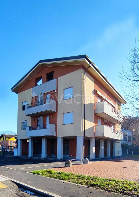 immagine annuncio 3 di 15