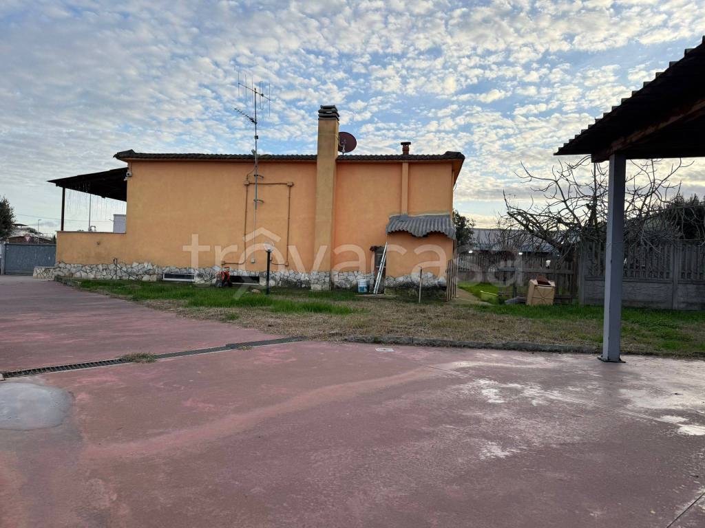 immagine annuncio 12 di 14