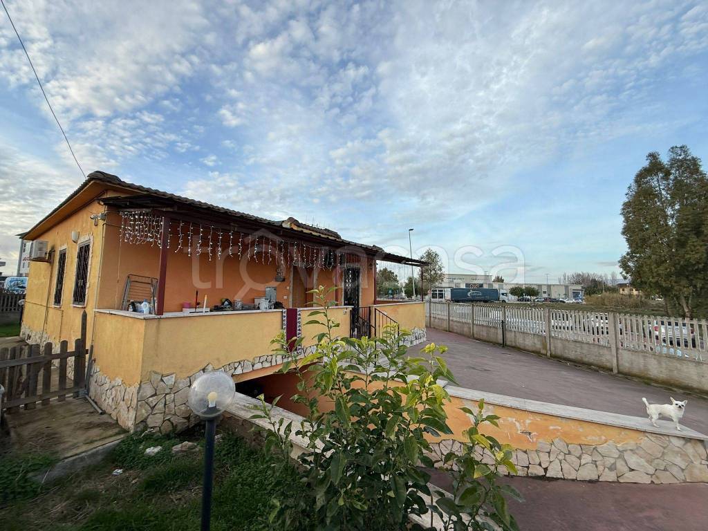 immagine annuncio 13 di 14